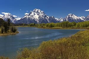 Images Dated 5th June 2013: Oxbow Bend - on the Snake River in June Grand Teton
