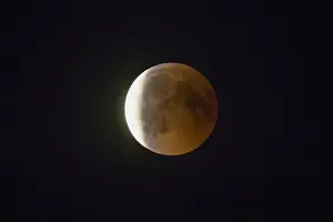 Moon Prints: P2A1906