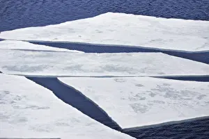 Pack Ice in Antarctica