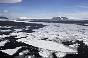 Images Dated 23rd October 2006: Pack Ice in Antarctica