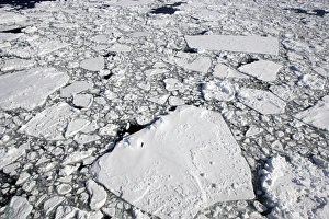 Images Dated 23rd October 2006: Pack Ice in Antarctica