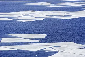 Pack Ice in Antarctica