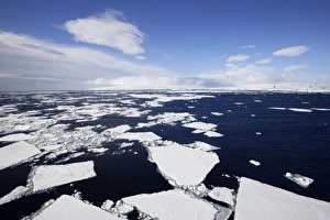 Images Dated 23rd October 2006: Pack Ice in Antarctica