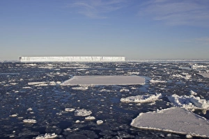 Images Dated 23rd October 2006: Pack Ice in Antarctica