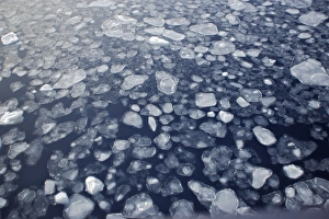 Images Dated 23rd October 2006: Pack Ice in Antarctica - Pancake Ice