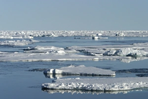Images Dated 27th August 2003: Pack Ice - ice floes. Spitzbergen, north Svalbard