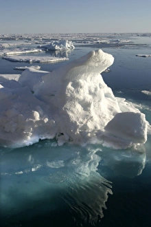 Images Dated 27th August 2003: Pack Ice, icebergs and floes. Spitzbergen, north Svalbard