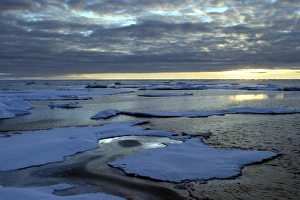 Images Dated 26th August 2003: Pack ice - North spitzberg - Svalbard Norge