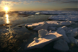 Images Dated 27th August 2003: Pack ice - North spitzberg - Svalbard Norge