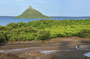 Mangroves Prints: Pain de Sucre with mangrove forest - Diego Suarez - Antsiranana - Northern Madagascar