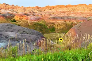 Peak Prints: A painterly image of softer hoodoos set against a row of wildflowers and grass