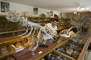 Images Dated 11th June 2008: Paleontologist / Palaeontologist Eric Depre⠬ittle museum