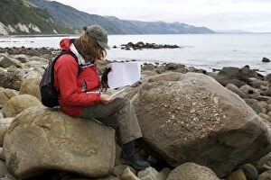 Paleontologist studying marine fossil deposits