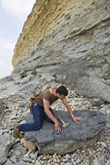 Images Dated 11th June 2008: Paleontology / Palaeontology - Eric Depre observing