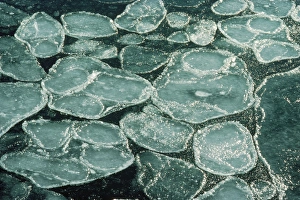 Images Dated 19th July 2006: Pancake Ice Halley Bay, Antarctica