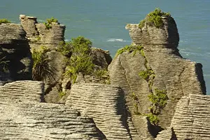 Layers Prints: Pancake Rocks famous flat limestone rock formations at Punakaiki in the shape of a man with a cap Paparoa National Park