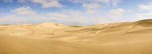 Panorama of the Dune Sea - Dune Fields
