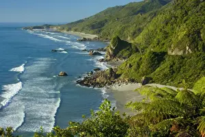 Paparoa coastline breathtaking rugged coastline of Paparoa National Park just north of Punakaiki with lush rainforest reaching down to the beach Paparoa National Park, West Coast, South Island, New Zealand