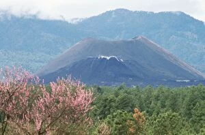 Mexico Collection: Paricutin Volcano Michoacan, Mexico