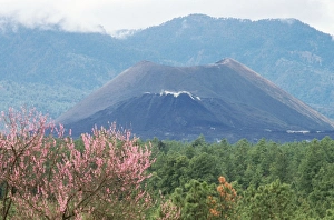 Images Dated 3rd August 2006: Paricutin Volcano Michoacan, Mexico