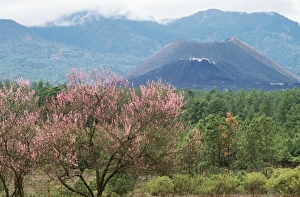 Images Dated 3rd August 2006: Paricutin Volcano Michoacan, Mexico