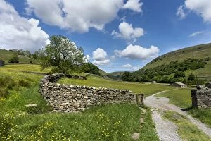 Barns Gallery: Path and Meadow - Muker - Swaledale - Yorkshire Dales - UK