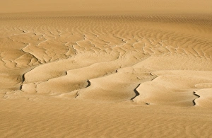 Images Dated 17th October 2008: Pattern in the sand created by the wind - Dune Fields - Namib Desert - Namibia - Africa