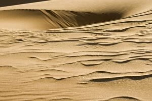 Images Dated 17th October 2008: Pattern in the sand created by the wind - Dune Fields - Namib Desert - Namibia - Africa