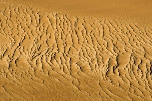 Images Dated 17th October 2008: Pattern in the sand created by the wind - Dune Fields - Namib Desert - Namibia - Africa