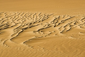 Images Dated 17th October 2008: Pattern in the sand created by the wind - Dune Fields - Namib Desert - Namibia - Africa