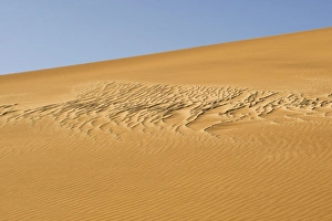 Images Dated 17th October 2008: Pattern in the sand created by the wind - Dune Fields - Namib Desert - Namibia - Africa