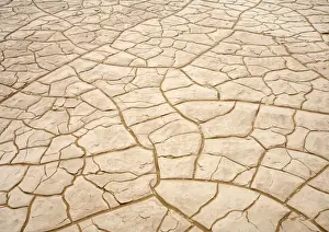 Cracked Prints: Patterns formed by cracked clay - Dune Fields - Namib Desert - Namibia - Africa