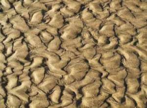 Images Dated 29th October 2011: Patterns in the sand of a beach at the Atlantic Ocean