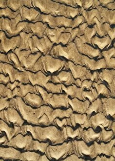 Patterns in the sand of a beach at the Atlantic Ocean