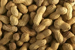 Fruit And Veg Prints: Peanuts
