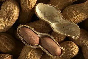 Peanut Prints: Peanuts