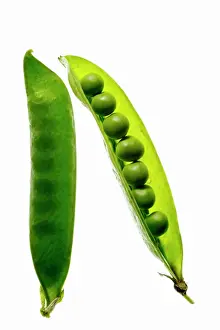 Peas Petit Pois in a pod