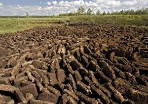 Images Dated 13th June 2005: Peat bog nature reserve, near Zakopane; south Poland. Open-cast peat digging