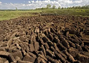 Bogs Prints: Peat bog nature reserve, near Zakopane; south Poland. Open-cast peat digging