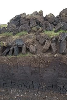 Images Dated 31st May 2014: Peat Cutting