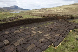 Moor Collection: Peat cutting with blocks drying Isle of Skye, Scotland