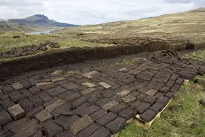 Scotland Prints: Peat cutting with blocks drying Isle of Skye, Scotland