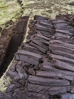 Moor Gallery: Peat cutting on Shetland, Scotland