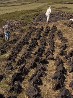 Peat Digging