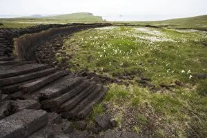 Images Dated 20th April 2007: Peat Working and Cotton Grass with Coast beyond Eshaness, Shetland Mainland, UK LA003239