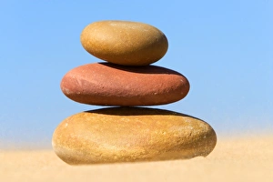 <b class=qtipBold><figcaption>Pebbles - piled up</figcaption></b><br>LA-3993 Pebbles - piled up Jean Michel Labat Please note that prints are personal display purposes only and may not be reproduced in any way.<br><em>© ? J. M. Labat / ardea.com</em> Pebbles - piled up
