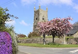 Images Dated 4th May 2010: Pelynt - with Blossom Tree and Church