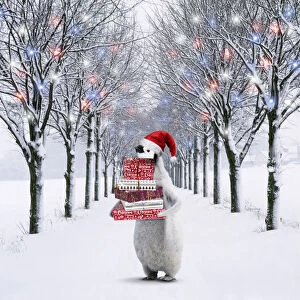 Xmas Gallery: Penguin wearing Christmas hat carrying presents