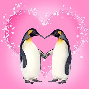 Penguins, pair kissing holding hands creating heart shape