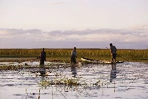 People - fishing with nets in Bangweuleu Marsh